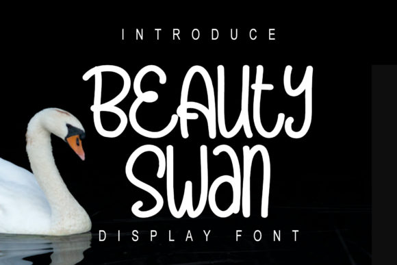 Beauty Swan Font Review