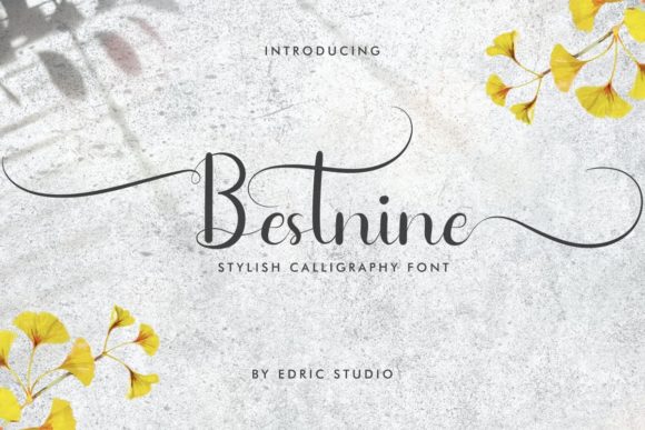 Bestnine Script Font Review: A Designer’s Take on Real-World Application