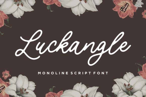 Luckangle: A Designer's Real-World Review for Brand Projects