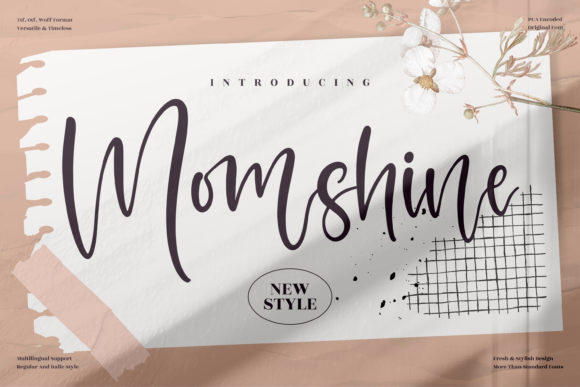 Momshine: Elevating Editorial Design with Elegant Script Typography