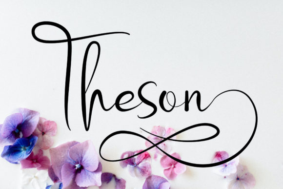 Theson Script: The Elegant Typeface for Campaign Visuals
