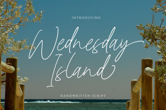 Wednesday Island: A Graceful Script Font for Elegant Web Design